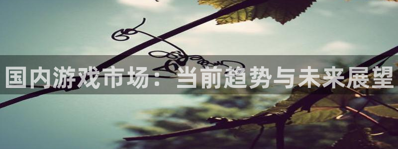 高德娱乐的意思：国内游戏市场：当前趋势与未来展望