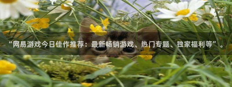 高德娱乐注册测速：“网易游戏今日佳作推荐：最新畅销游戏、热门