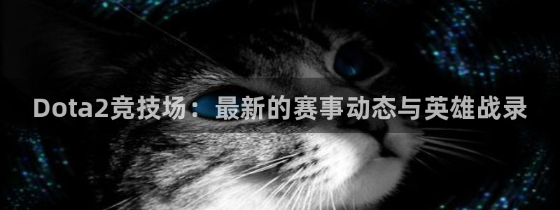 高德娱乐登陆地址：Dota2竞技场：最新的赛事动态与英雄战录