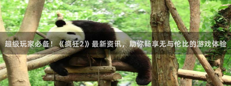 高德娱乐平台登录入口：超级玩家必备！《疯狂2》最新资讯，助你