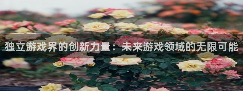 高德娱乐4主管：独立游戏界的创新力量：未来游戏领域的无限可能