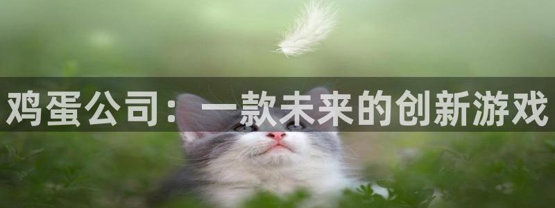 高德娱乐测速：鸡蛋公司：一款未来的创新游戏