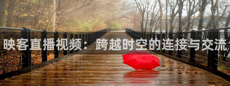 火凤直播足球免费观看