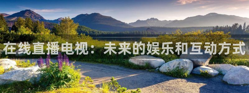 火凤直播体育直播最新赛程