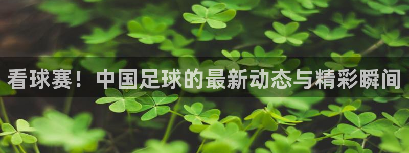 nba火凤体育免费直播：看球赛！中国足球的最新动态与精彩瞬间