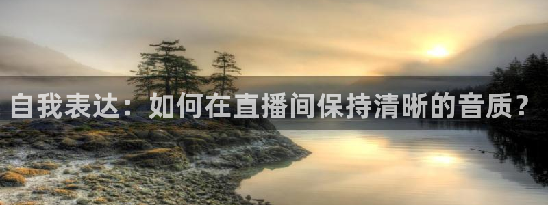 火凤直播体育免费直播：自我表达：如何在直播间保持清晰的音质？