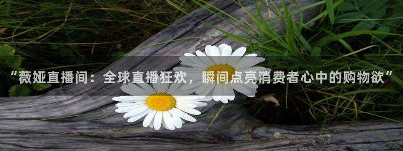 火凤直播篮球免费观看：“薇娅直播间：全球直播狂欢，瞬间点亮消费者心中的购物欲”